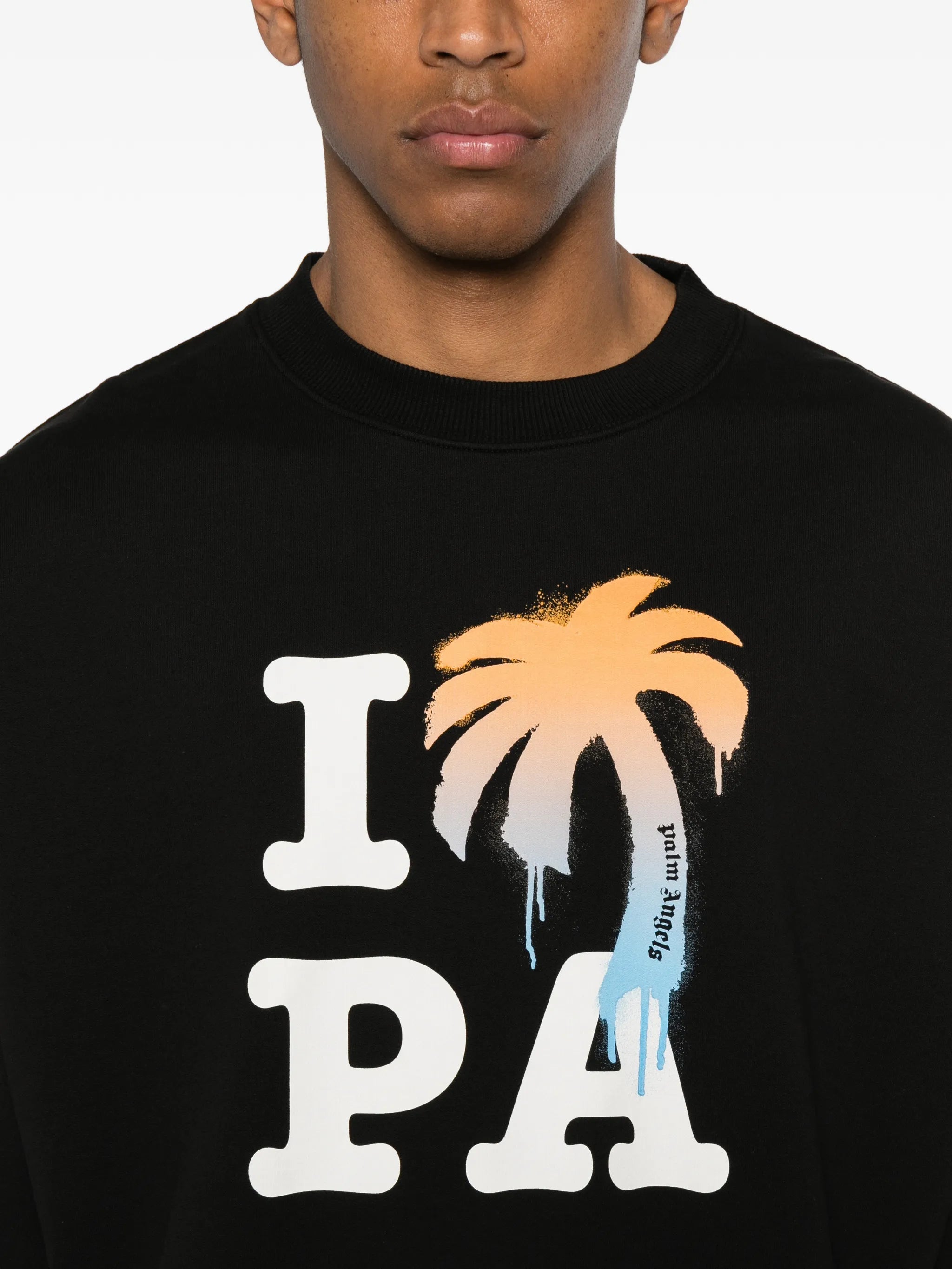 Palm Angels Palm Angels Logo-print Sweatshirt, view 2